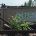 Yard Cleanup | Recycling Services | Storage Container Rentals | Parberry Environmental Solutions